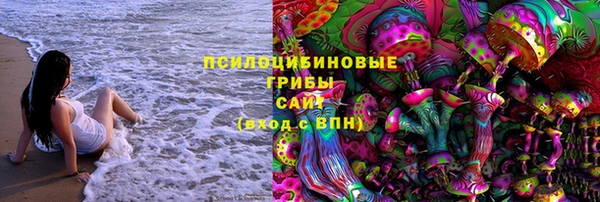 прущий лед Верея