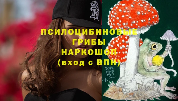 гашик Верхнеуральск