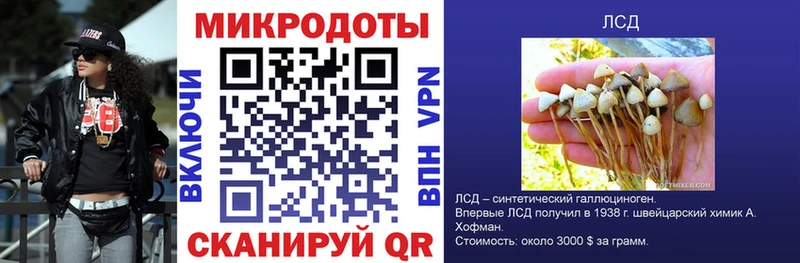 Псилоцибиновые грибы Psilocybe Купить где Фатеж